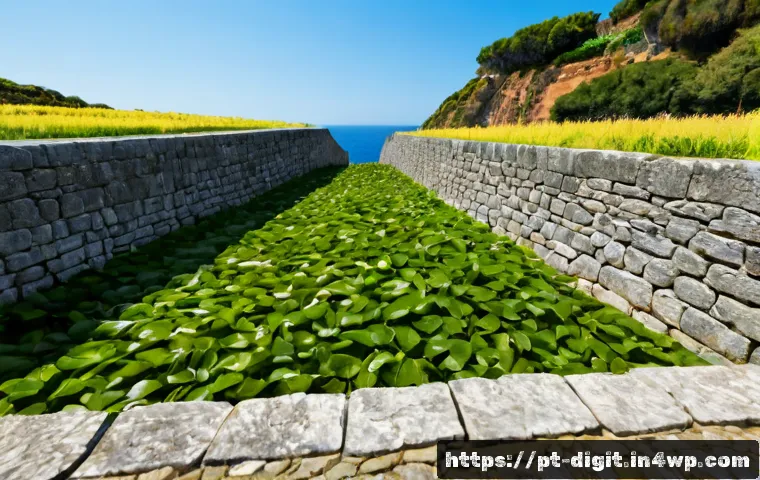 Como Resolver Litígios sobre Ativos Digitais: Provas, Custos e Quando Recorrer a Especialistas 4 디지털 자산 소유권의 분쟁 해결 방법 관련 이미지 2